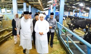 WhatsApp-Image-2025-10-29-at-13.51.46