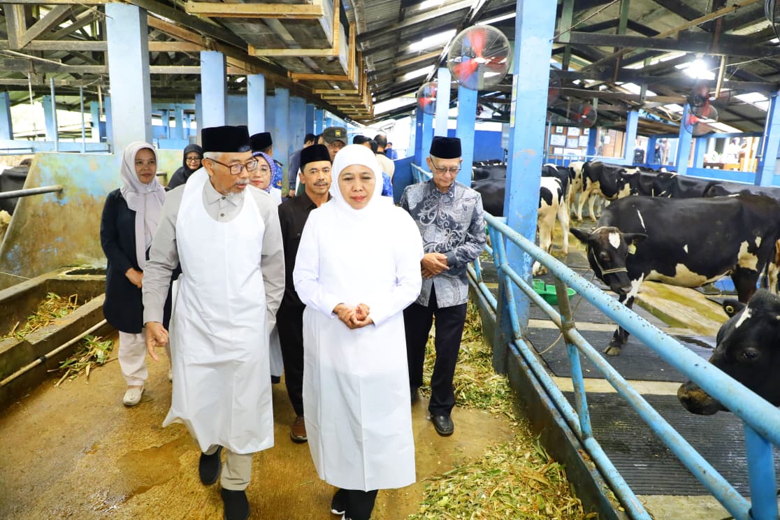 WhatsApp-Image-2025-10-29-at-13.51.46